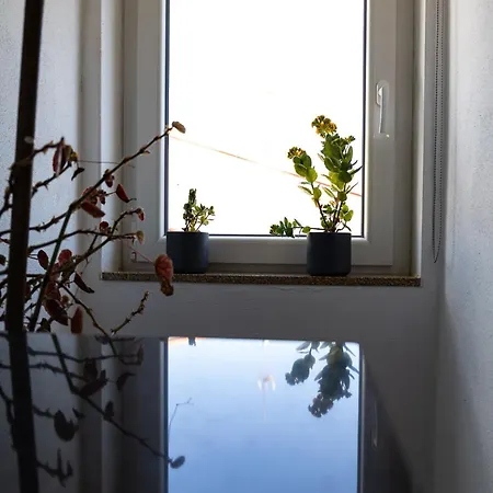 Casa Do Balcao *